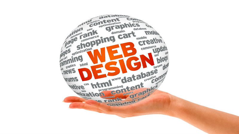 3 Reasons Why You Need to Use Professional Web Design Services in Tampa, FL