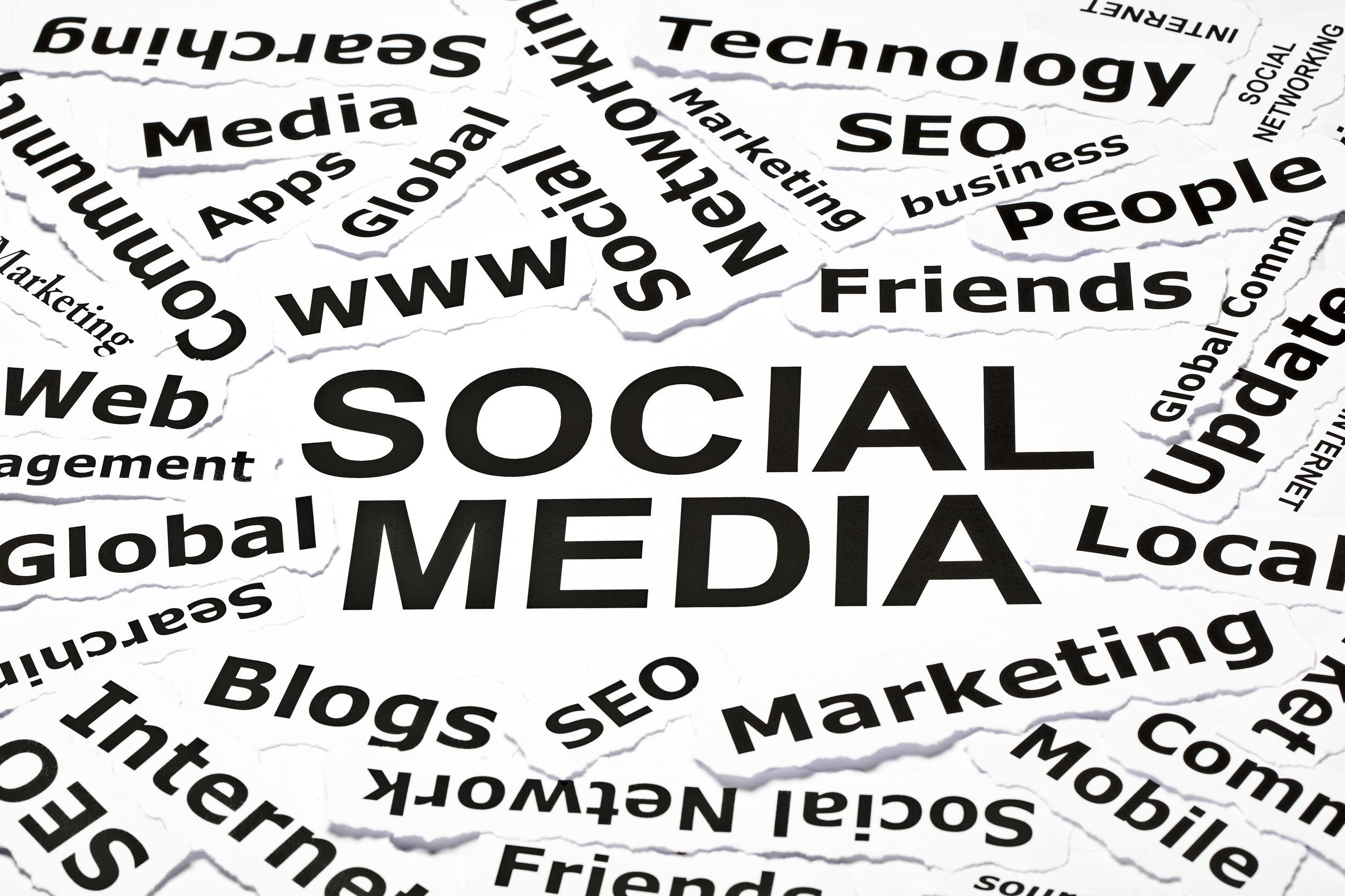 Professional Social Media Marketing Services in Charlotte, NC, Help Your Business Thrive